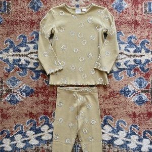 Zara daisy green floral daisy set top and leggings